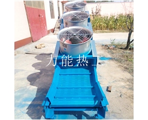贵州链板提升机