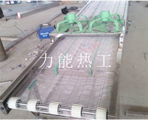 贵州乙字网输送机