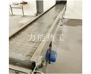 贵州链板输送机
